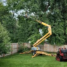 Artificial Turf Installation in Ringgold, GA