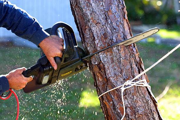 Mulching Services in Ringgold, GA